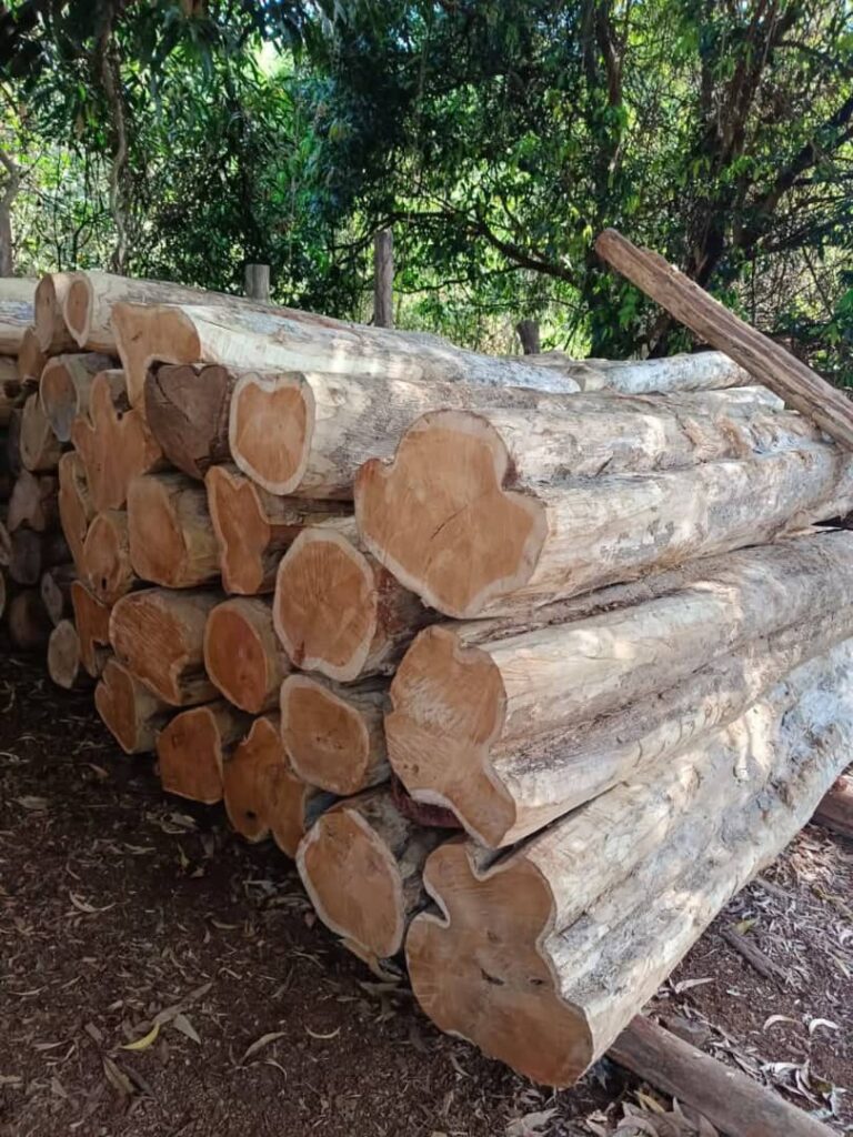 Gallery img 20251003 wa0001