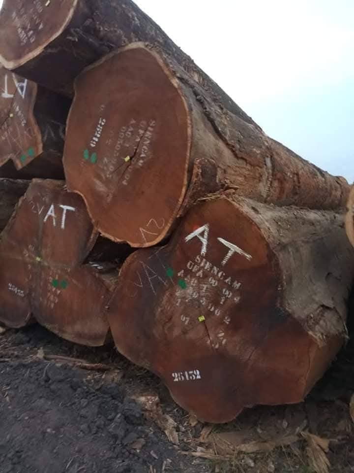 img 20251003 wa0004 img 20251003 wa0004