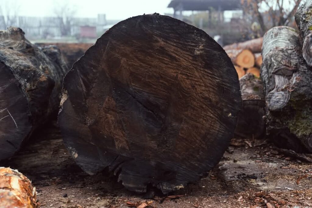 Gallery img 20251003 wa0012