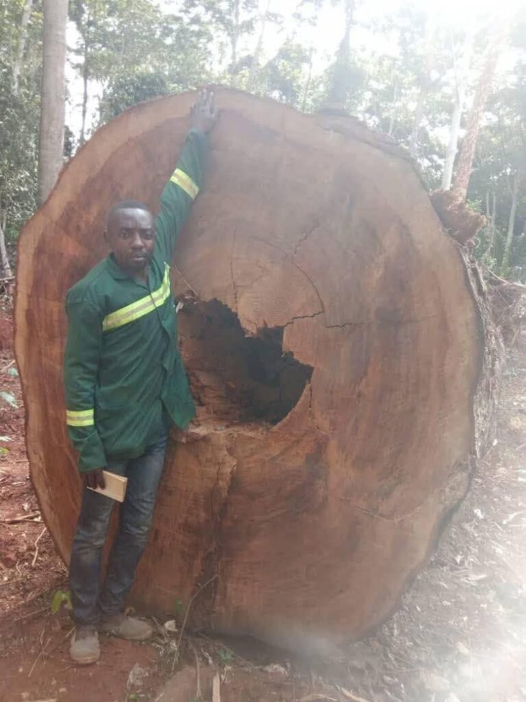 Gallery img 20251003 wa0019