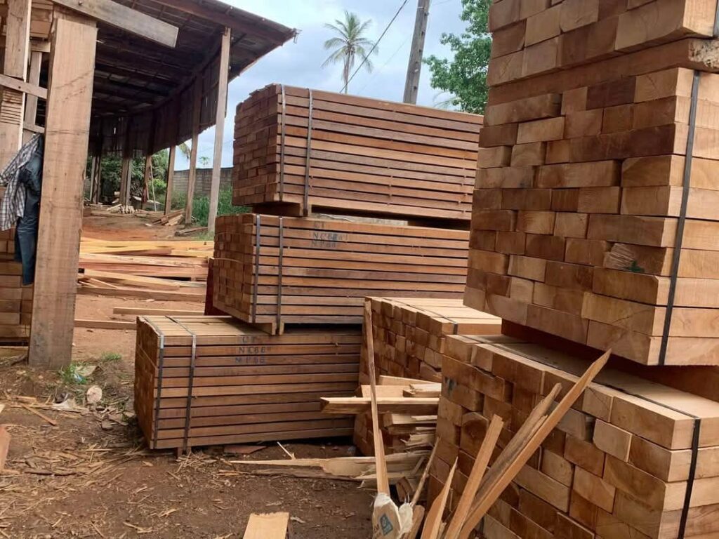 img 20251003 wa0022 img 20251003 wa0022