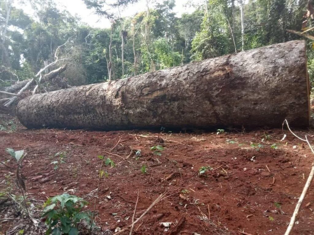 Gallery img 20251003 wa0024