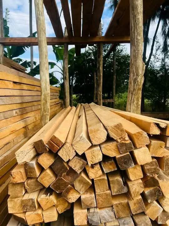 img 20251003 wa0034 img 20251003 wa0034