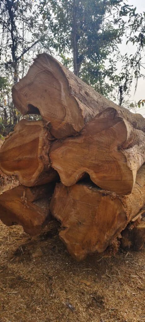 Gallery img 20251003 wa0048