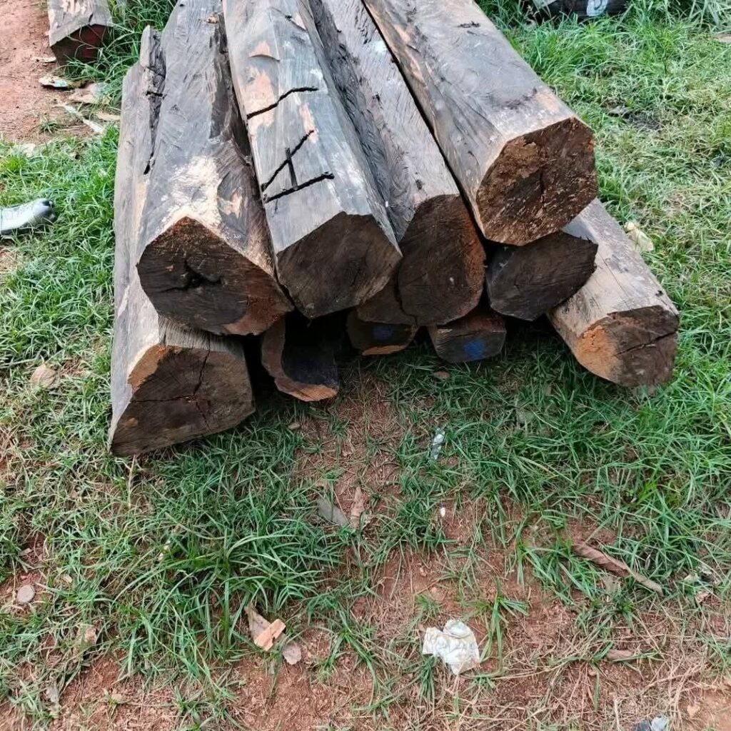 Gallery img 20251003 wa0056