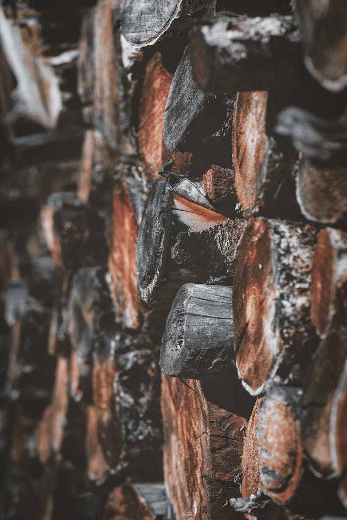 Detailed view of a woodpile showcasing chopped logs stacked neatly, ideal for nature and industry themes.
