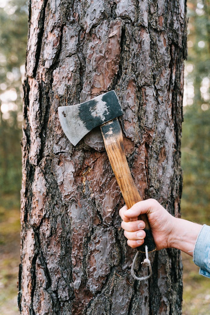 Crafting Captivating Headlines: Your awesome post title goes here A close-up shot of a person holding an axe pressed against a tree trunk in a forest setting.